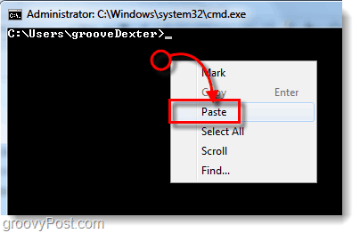 how to paste in the cmd