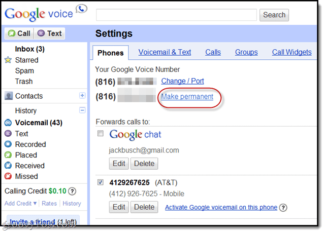 retain your old google voice number after porting