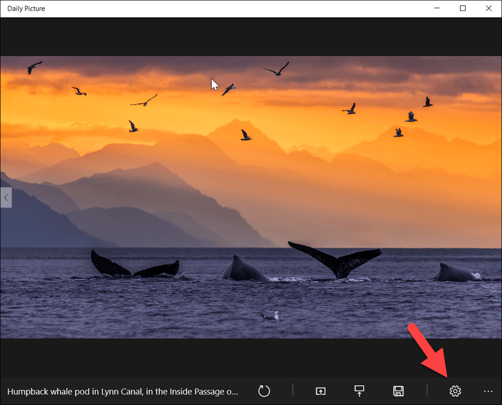 How to Set Bing Backgrounds as Wallpapers on your Desktop