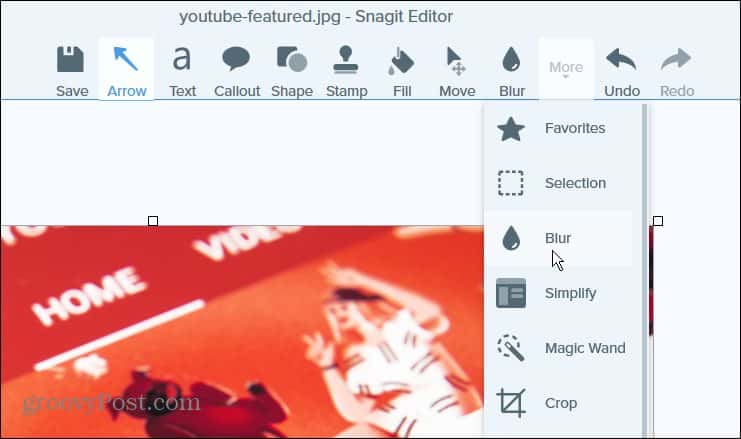 Use Snagit to Blur Out Text Content of a Screenshot