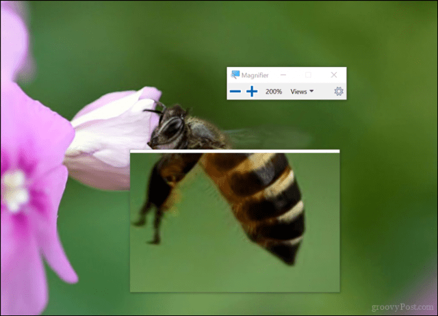How to Zoom and Magnify Desktop Apps in Windows 10 or macOS - 77