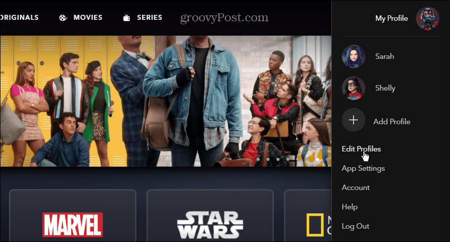 How to Disable Background Video in Disney Plus - 11