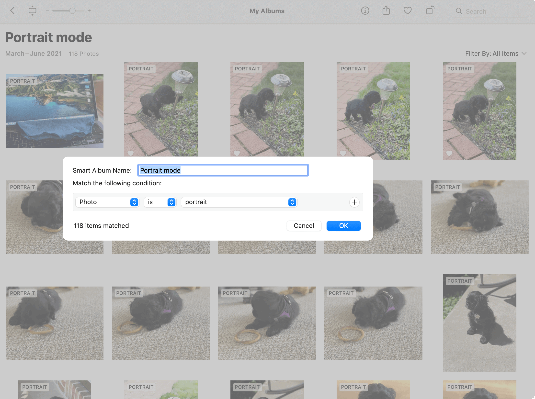 How to Create Smart Albums in Photos in macOS Monterey - 11