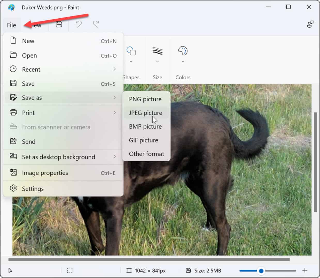 How to Convert a PNG to JPG on Windows 11 - 67