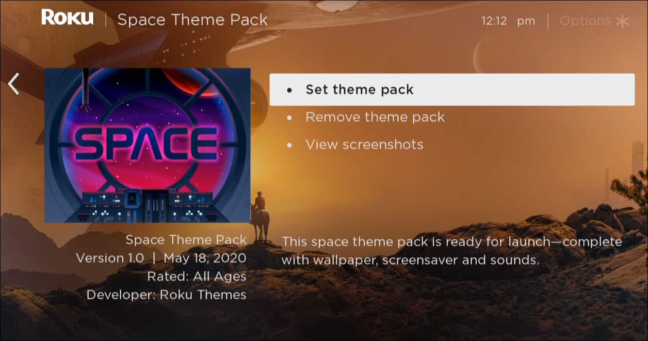 How to Change Themes on Roku - 16
