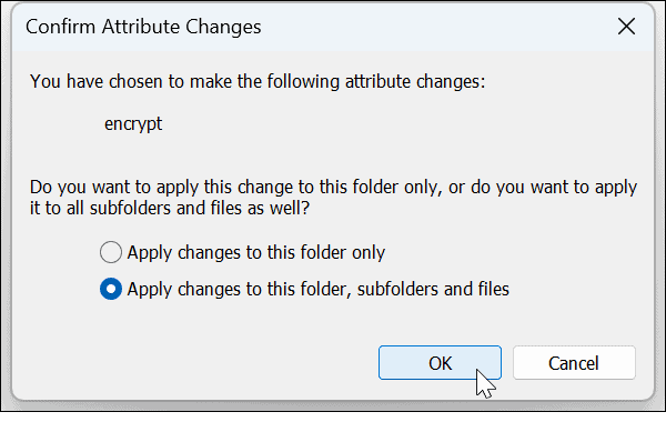 How to Lock a Folder on Windows 11 - 11