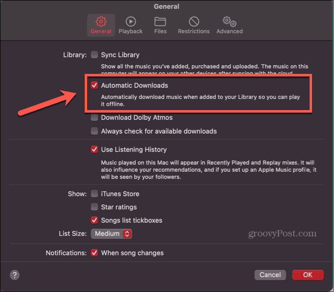 How to Use Apple Music Offline - 12