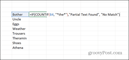 How to Check for Partial Matches in Excel - 17