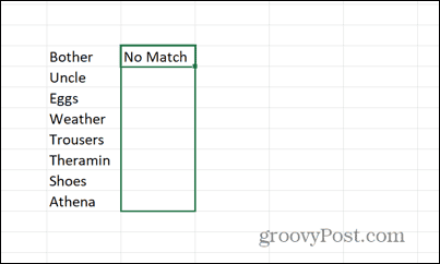 How to Check for Partial Matches in Excel - 18