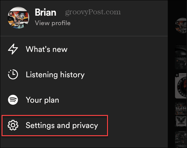 settings and privacy spotify android